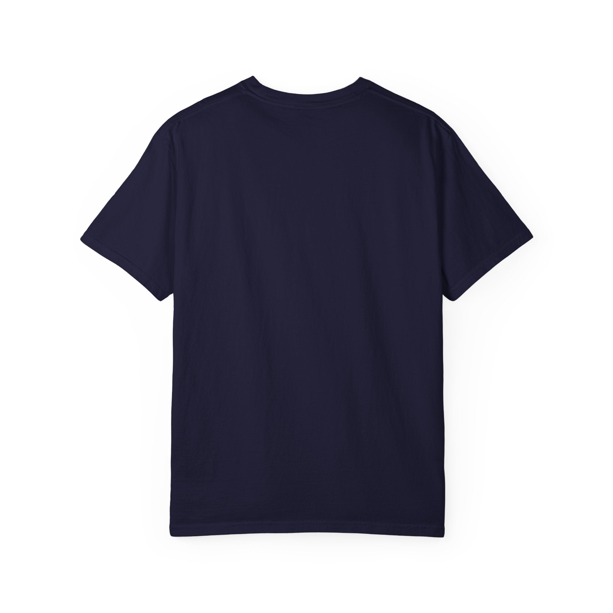 Divine Hummingbird T-Shirt